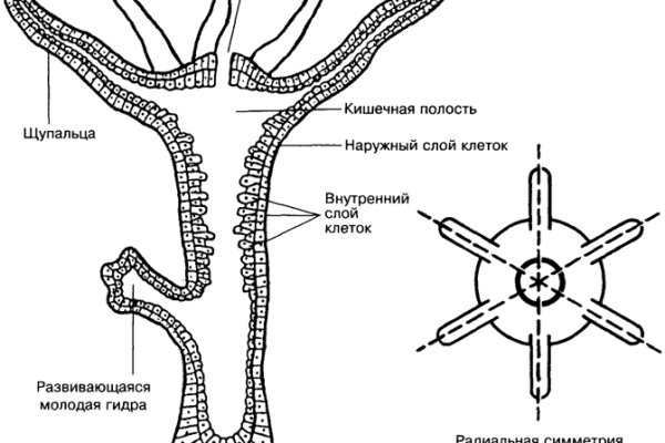 Не открывается omg